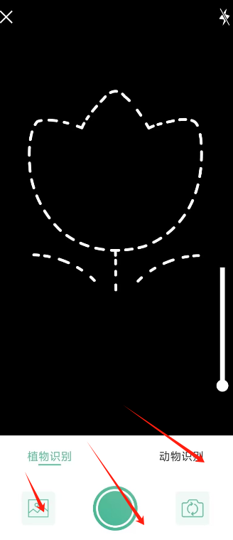 1724830348321568.png image.png