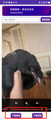 82d4effec029c3df28d6f14b776f0c7.png