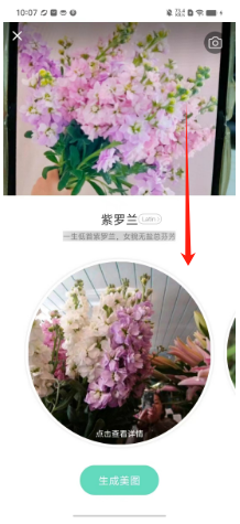 1728526164518313.png 92ce017ffc6fbf92f5823c47f81cbe3.png