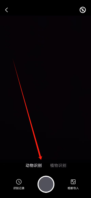 1729573256239.png
