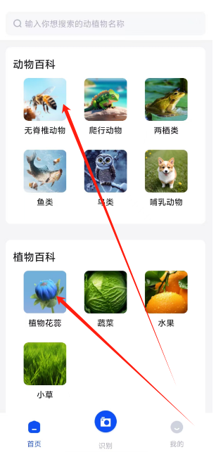 1729573271794.png
